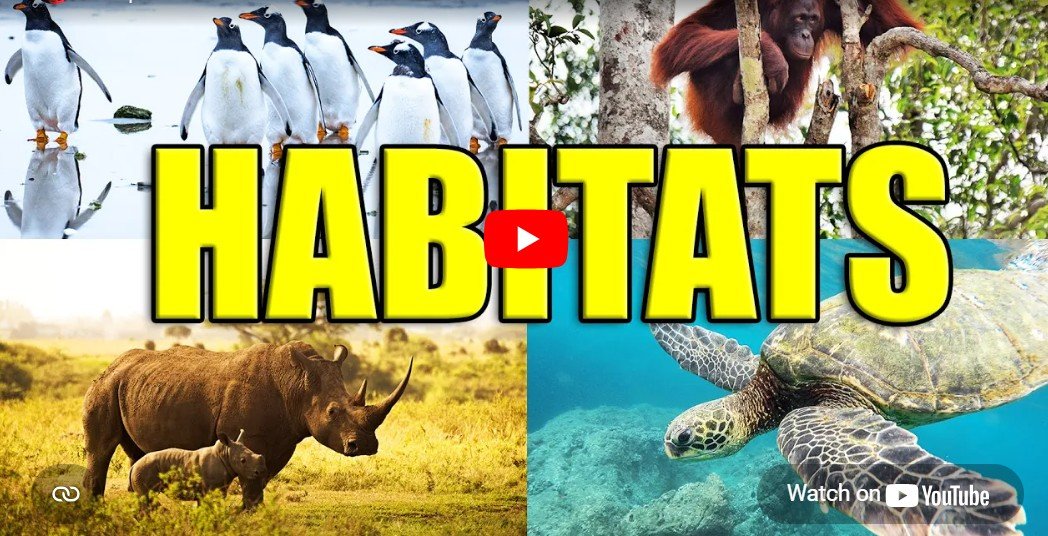 Habitat video